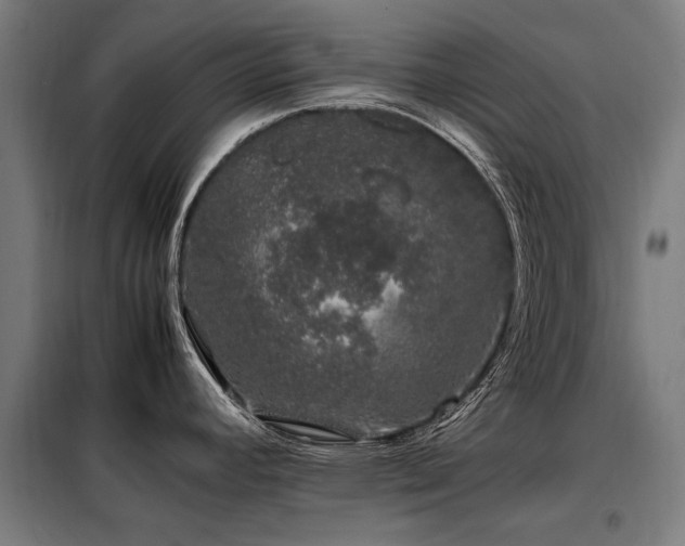 X0000098081392200804041138
