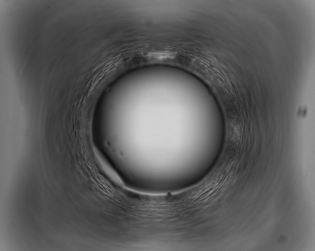 X0000098081393200804041137