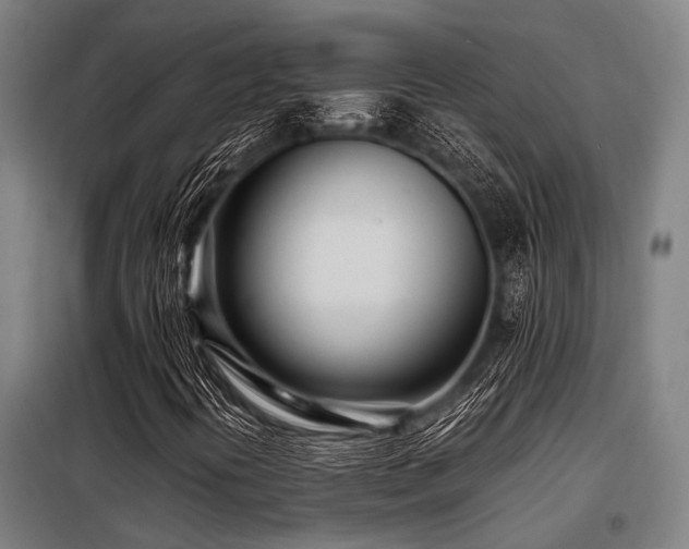 X0000098081394200804041137