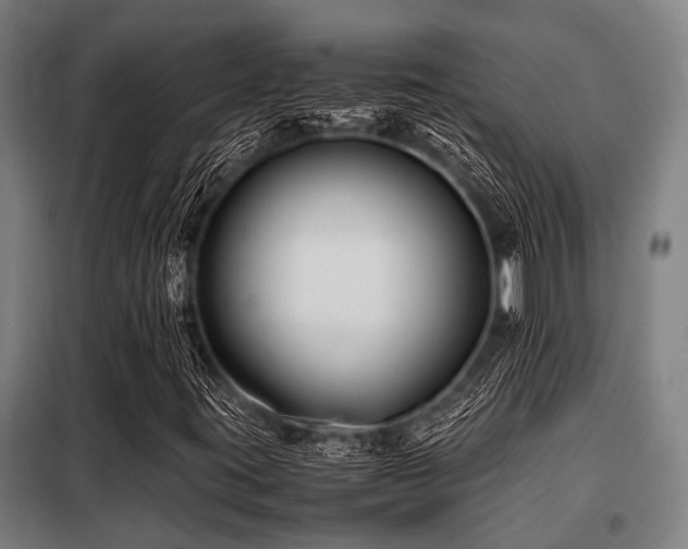 X0000098081395200804041137