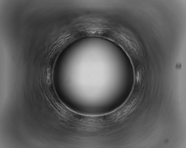 X0000098081396200804041138