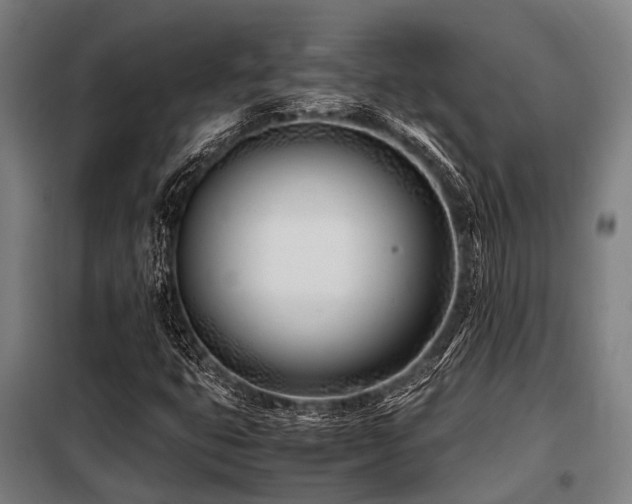 X0000098081399200804041138