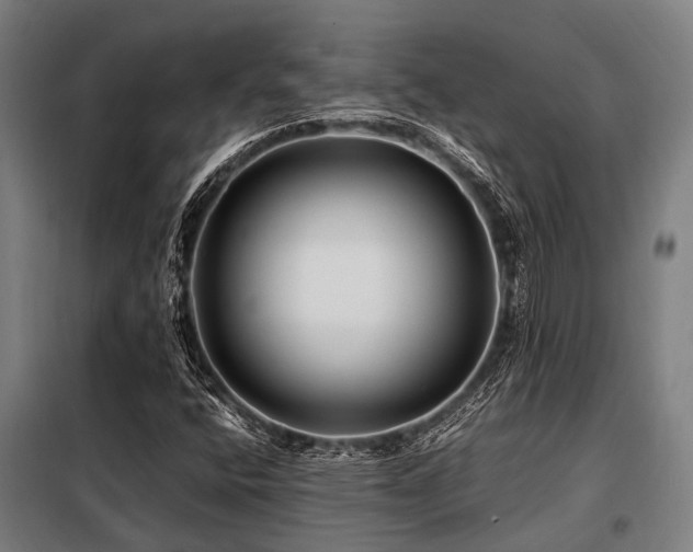 X0000098081400200804041138