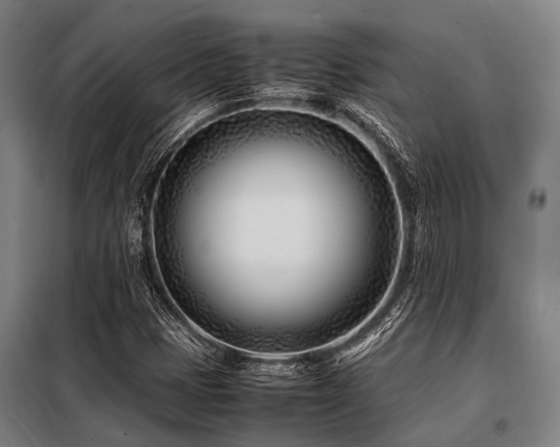 X0000098081401200804041138