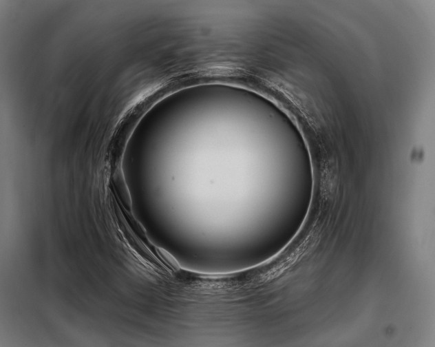 X0000098081402200804041138