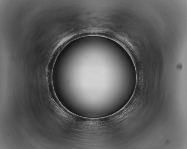 X0000098081404200804041138