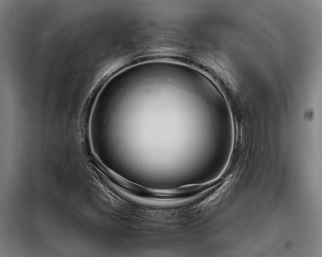 X0000098081405200804041138