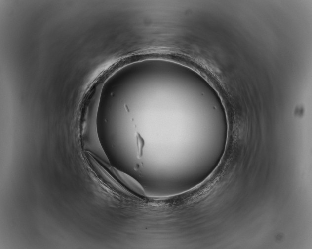 X0000098081406200804041138