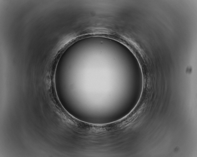 X0000098081407200804041138