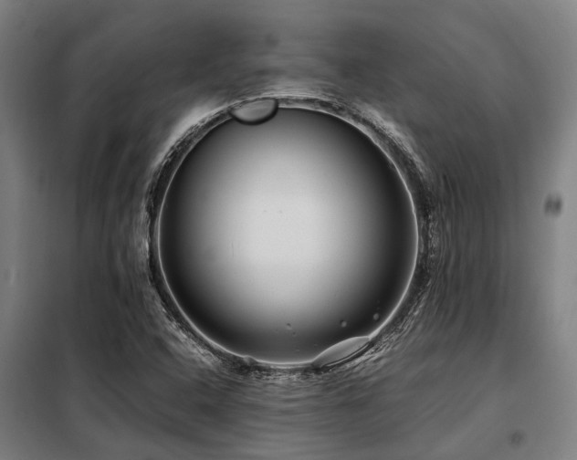 X0000098081408200804041138