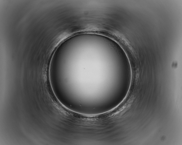 X0000098081409200804041138