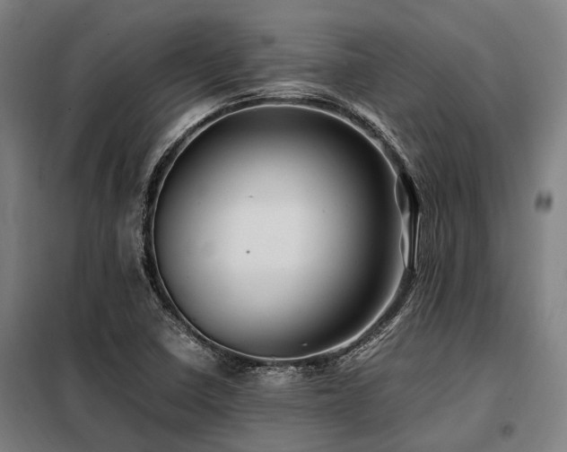 X0000098081410200804041138