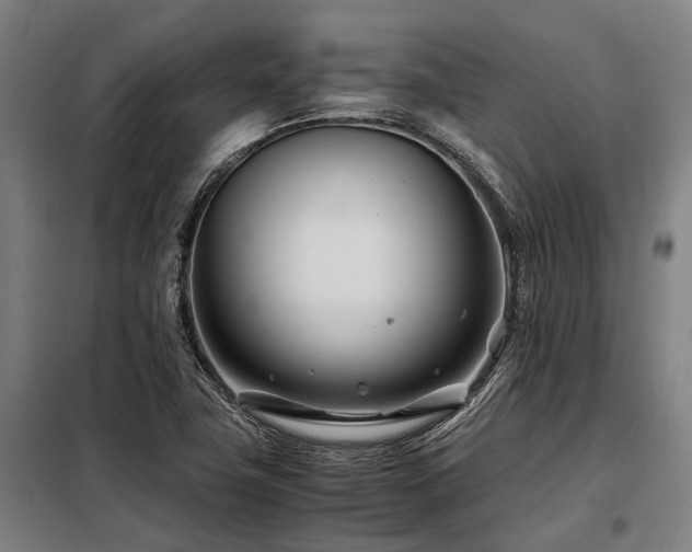 X0000098081411200804041138