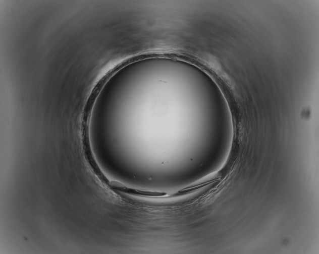 X0000098081412200804041138