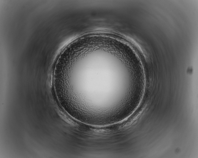 X0000098081413200804041138