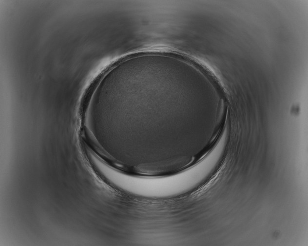 X0000098081414200804041138