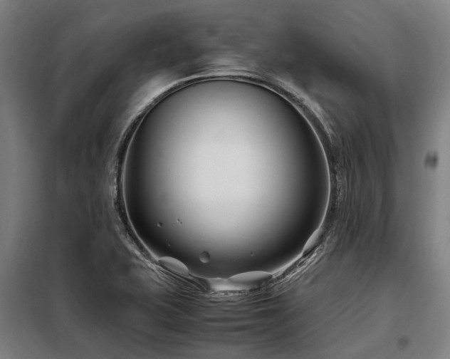 X0000098081415200804041138