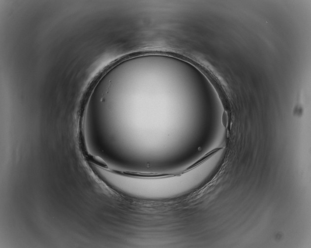 X0000098081416200804041138