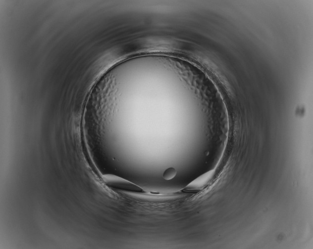 X0000098081417200804041138