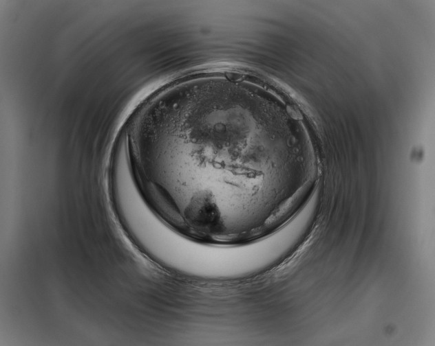 X0000098081418200804041138