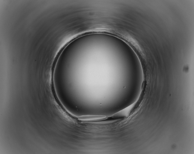 X0000098081420200804041138