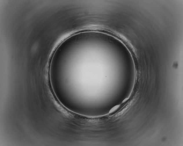 X0000098081421200804041138