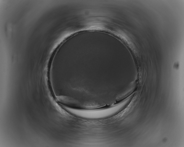 X0000098081422200804041138
