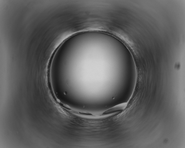 X0000098081423200804041138
