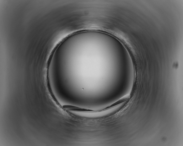 X0000098081424200804041138