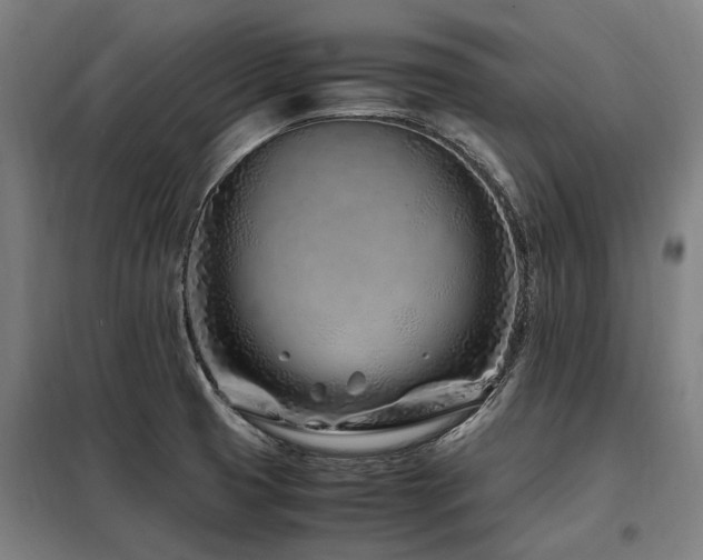 X0000098081425200804041138