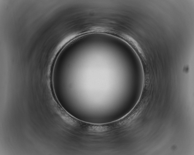 X0000098081427200804041138