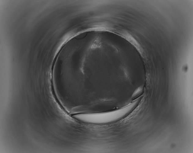 X0000098081428200804041138