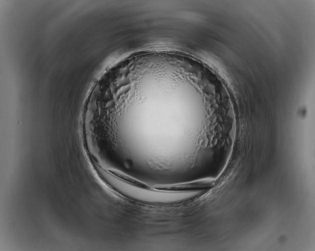 X0000098081429200804041138