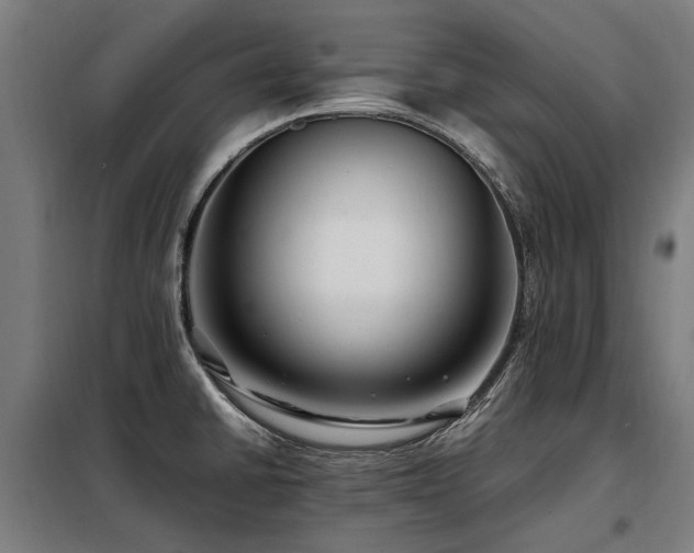 X0000098081430200804041138