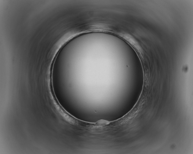 X0000098081431200804041138