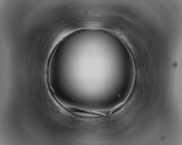 X0000098081432200804041138