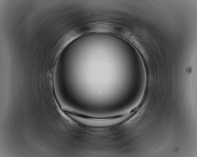 X0000098081433200804041138