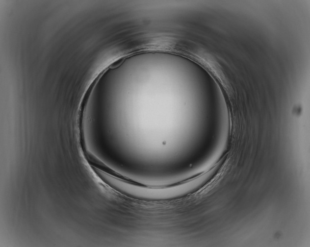 X0000098081434200804041138