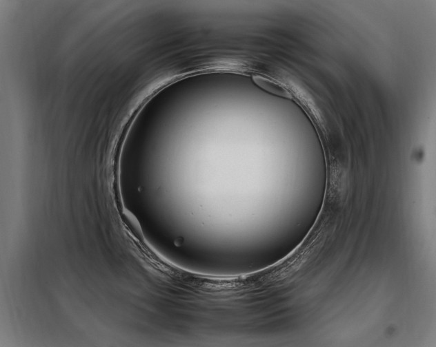 X0000098081435200804041138