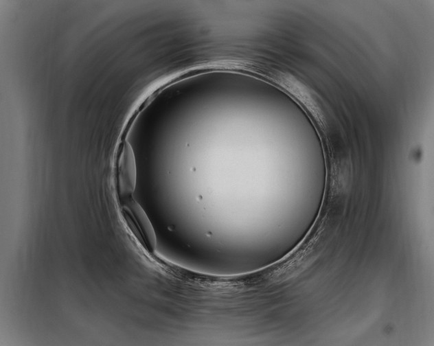 X0000098081436200804041138