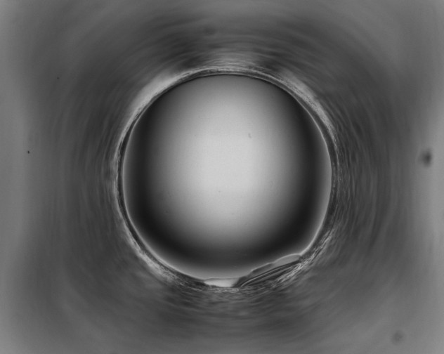 X0000098081437200804041138