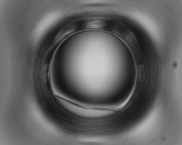 X0000098081438200804041138