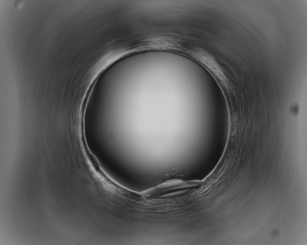 X0000098081439200804041138