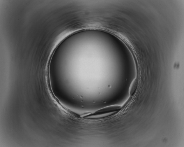 X0000098081440200804041138