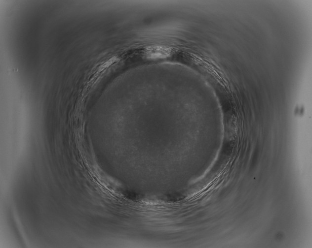 X0000098081441200804041137