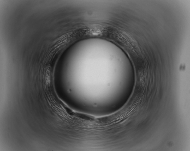 X0000098081442200804041137