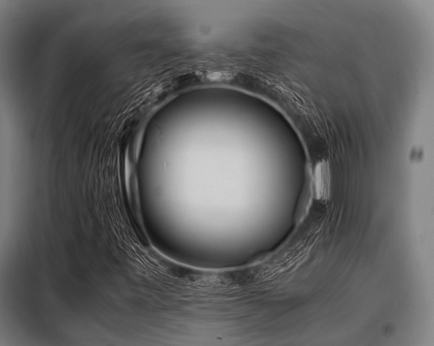 X0000098081443200804041137