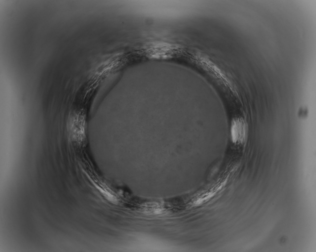 X0000098081444200804041137