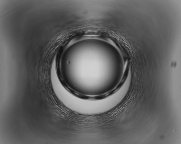 X0000098081445200804041137