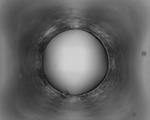 X0000098081446200804041137